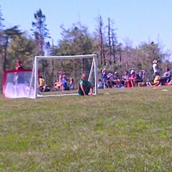 Meet your Posher, Nancy - Picture 1 of 1